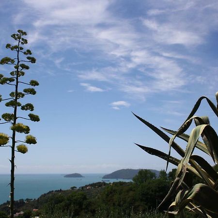 Agave Di Lerici Villa Kültér fotó