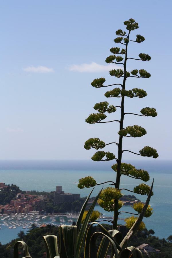 Agave Di Lerici Villa Kültér fotó