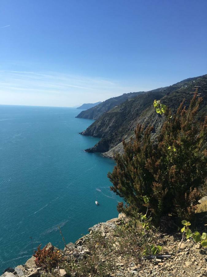 Agave Di Lerici Villa Kültér fotó