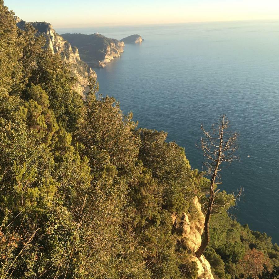 Agave Di Lerici Villa Kültér fotó